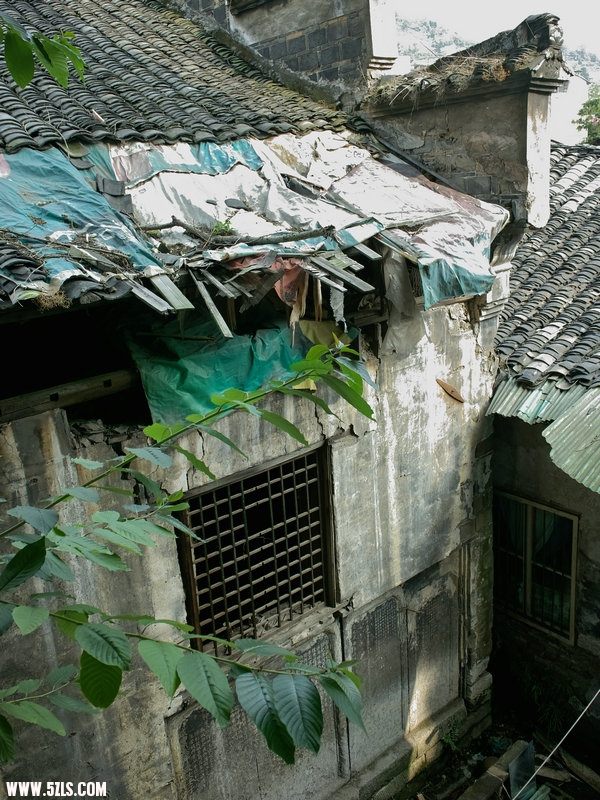 SDIM0882.jpg