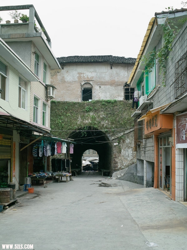 SDIM0654.jpg