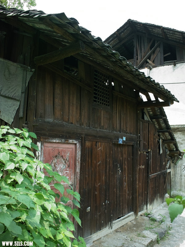 SDIM0985.jpg