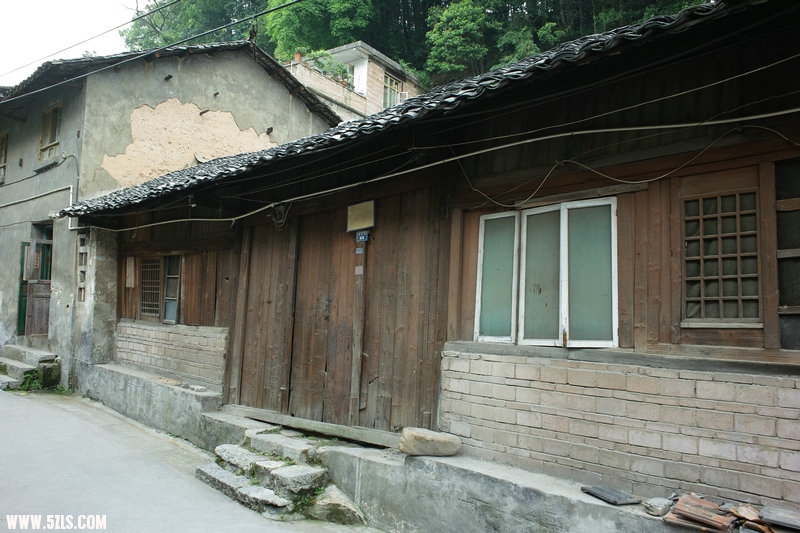 19SDIM0961.jpg