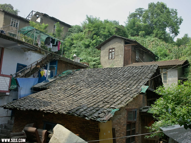 SDIM1110.jpg