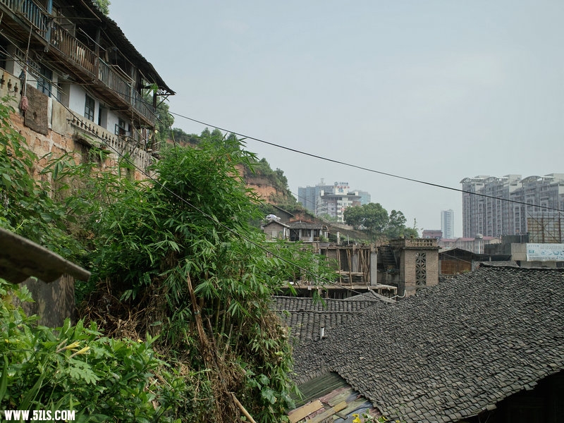 SDIM1117.jpg
