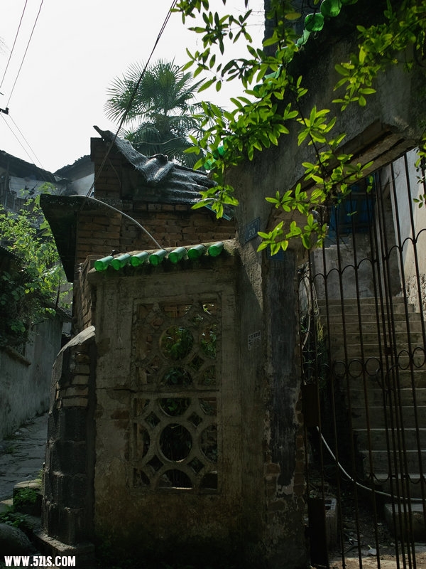 SDIM1130.jpg