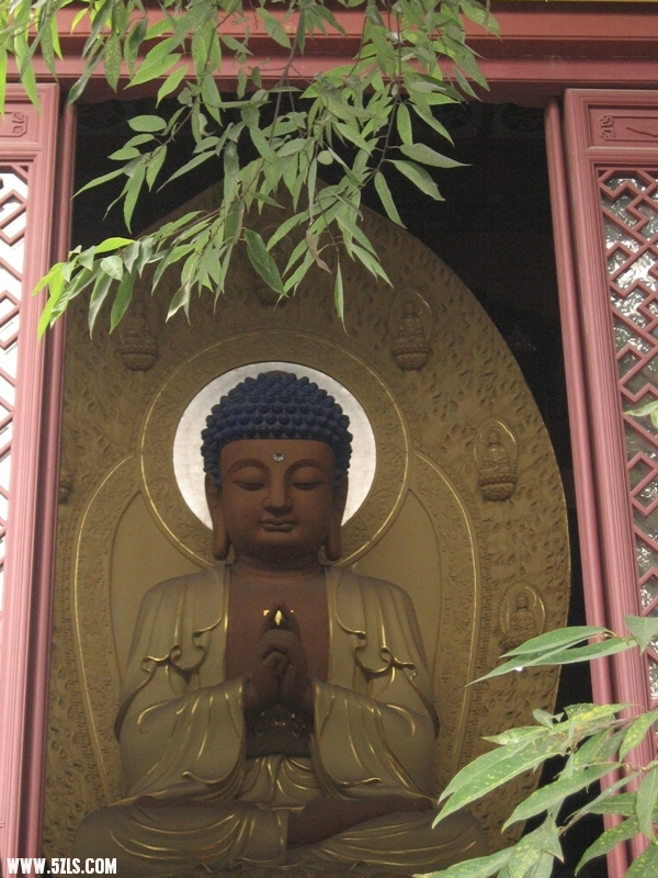 2010꺼--ӣݣ 030.jpg