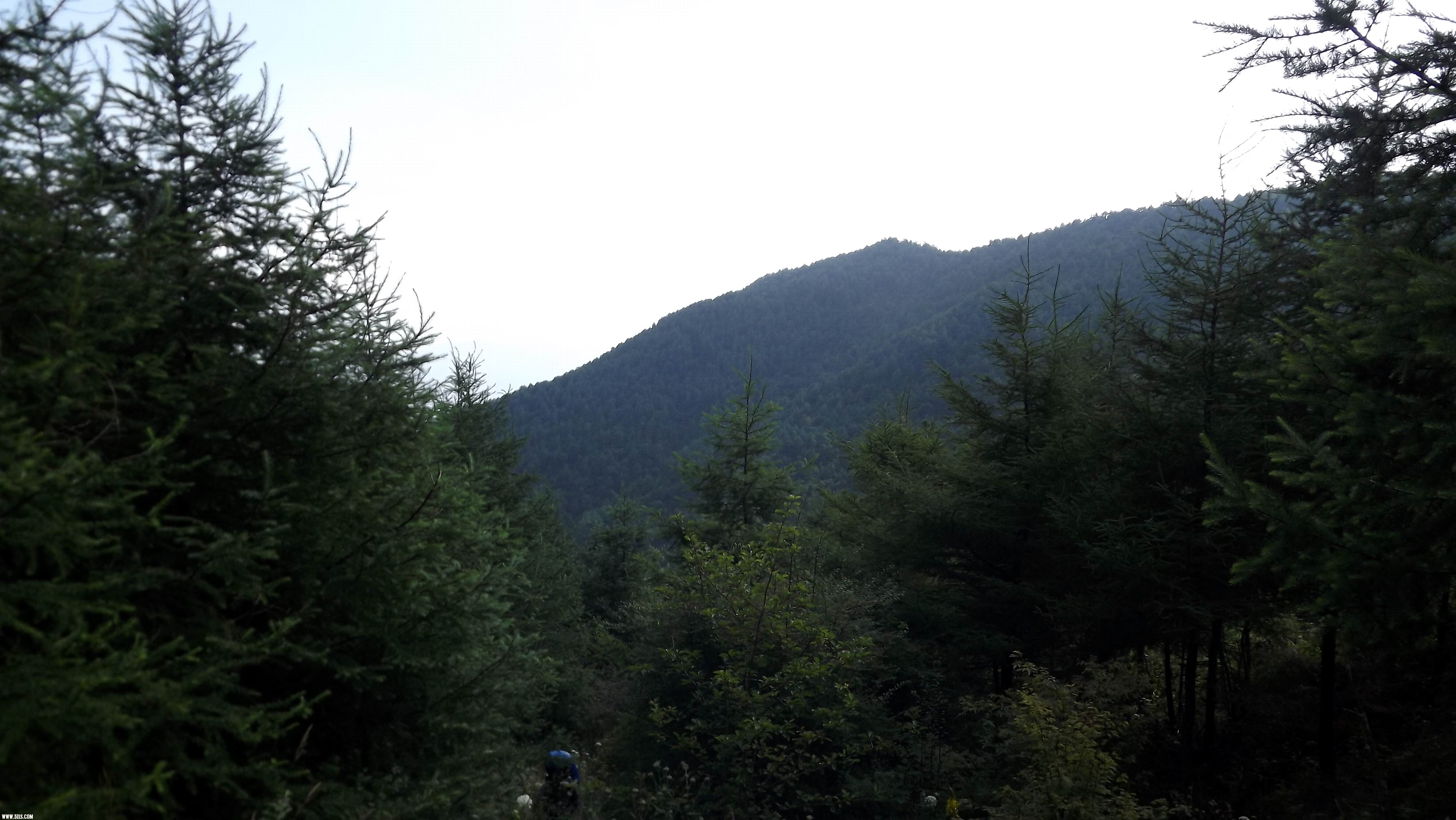 DSCF0256.JPG