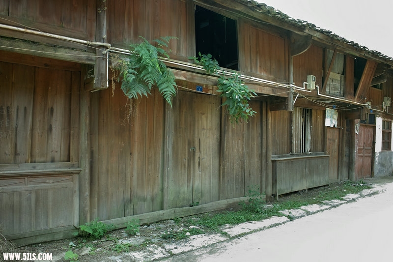 SDIM1217.jpg