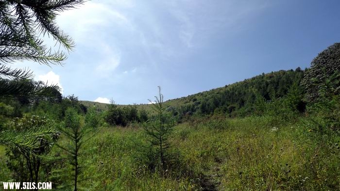 DSCF0292.JPG
