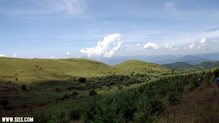 DSCF0315.JPG