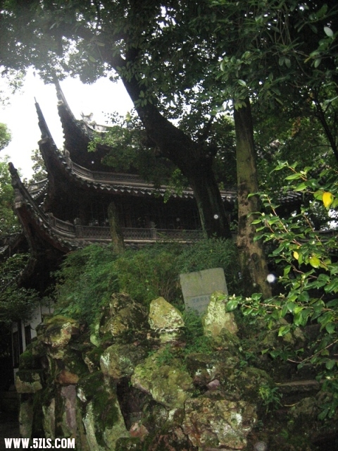 2010-- 024.jpg
