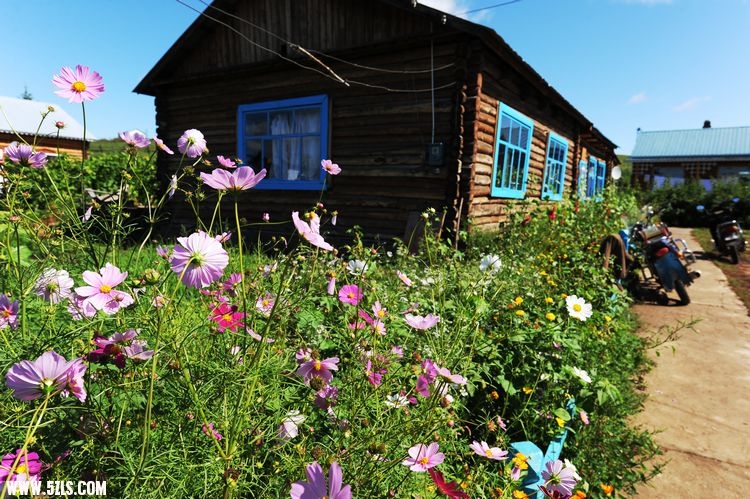 草原1 613.jpg
