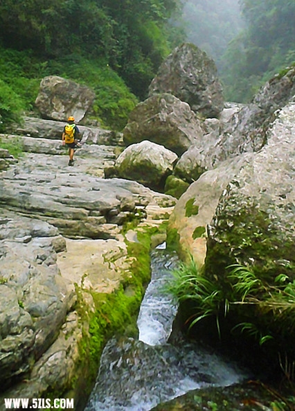 p8210451_.jpg