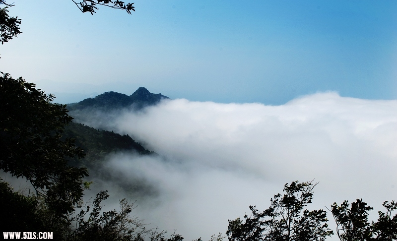 DSC_2736.jpg