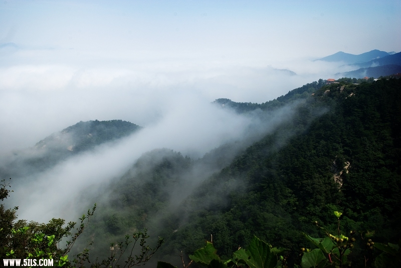 DSC_2773.jpg