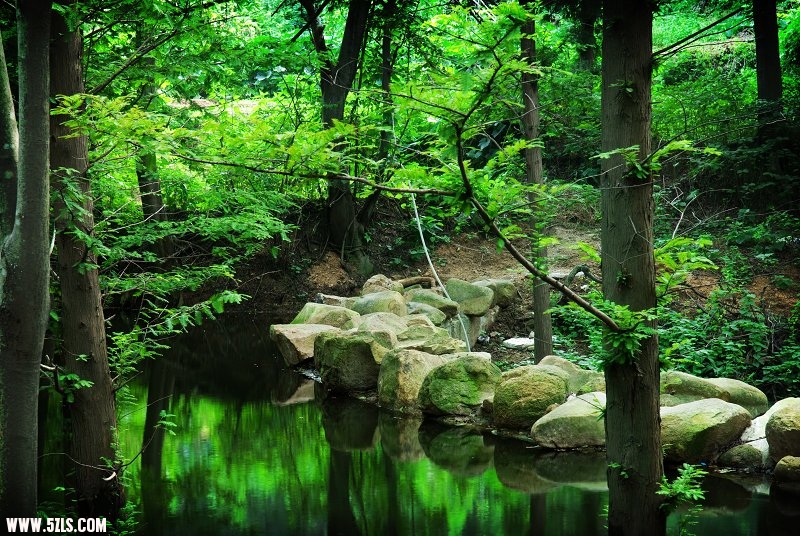 DSC_2438.jpg