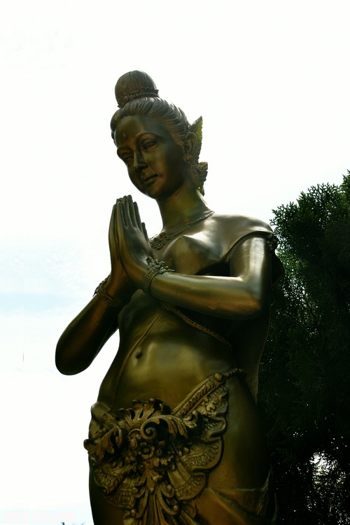 DSC_2232.jpg