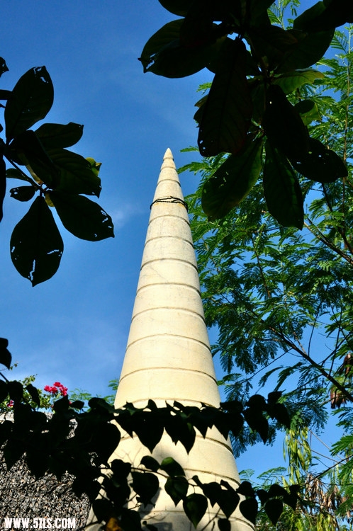 DSC_2965.jpg