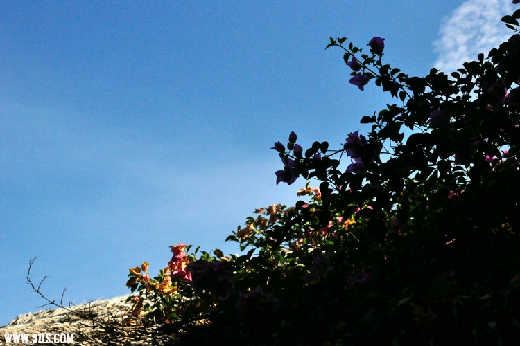 DSC_2989.jpg