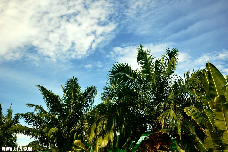 DSC_3379.jpg