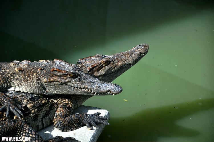 DSC_3363.jpg