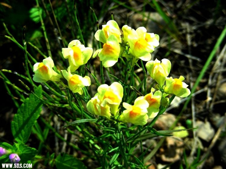 DSCN0139.jpg