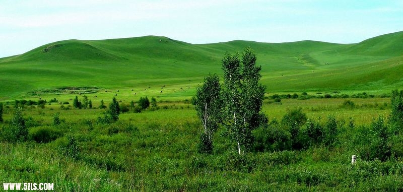 DSCN0142.jpg