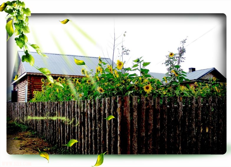 DSCN0164.jpg