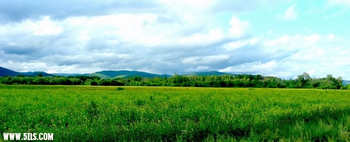 DSCN0307.jpg