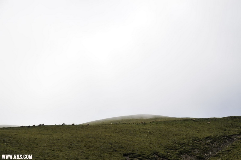 DSC_6894.JPG
