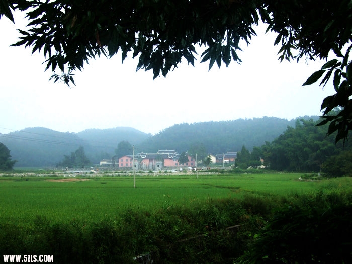 DSCF2752.JPG