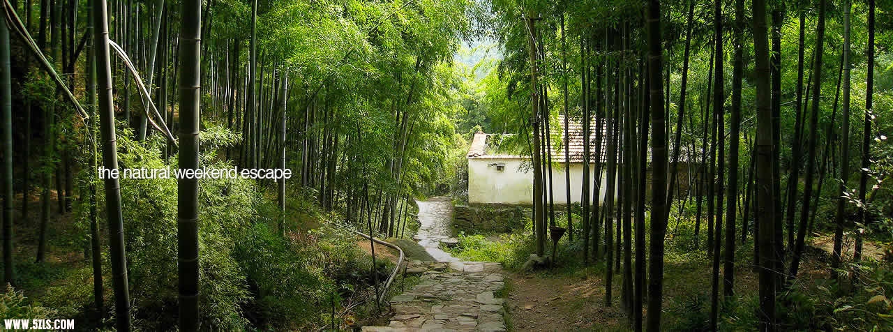 莫干山景