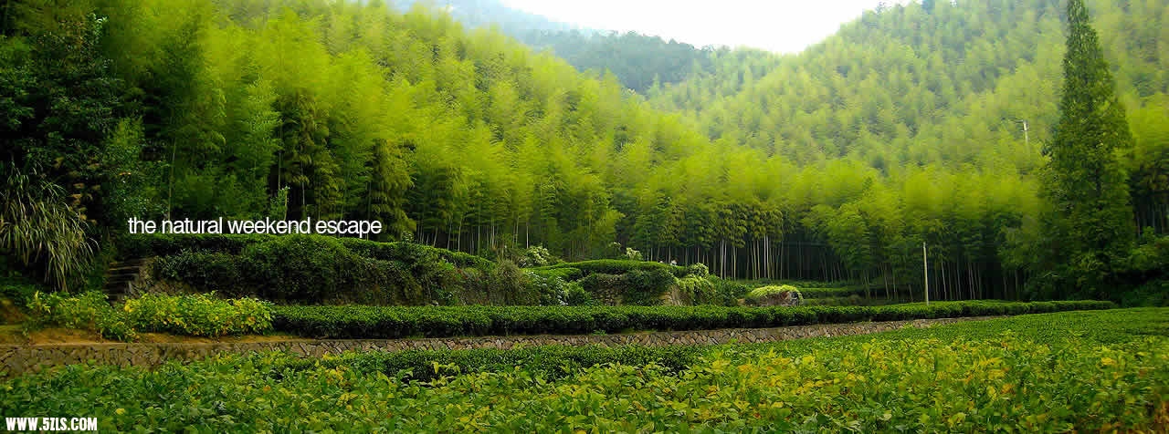 莫干山景