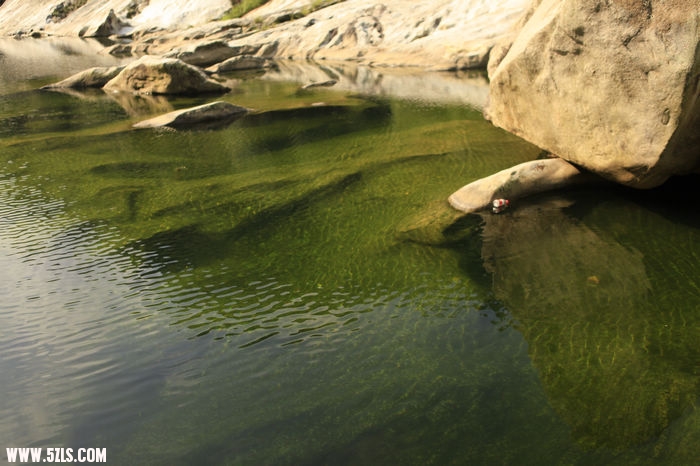 _MG_0279.JPG
