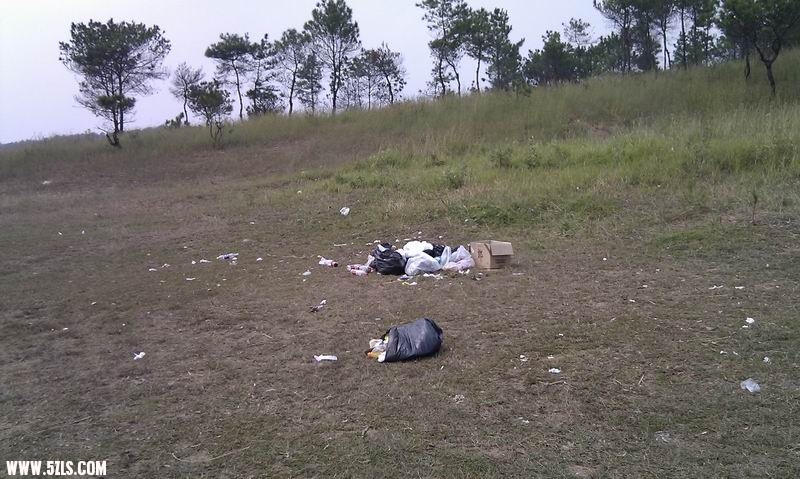 IMAG0345.jpg