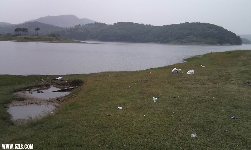IMAG0347.jpg