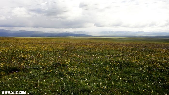196.jpg