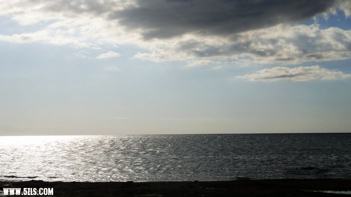206.jpg
