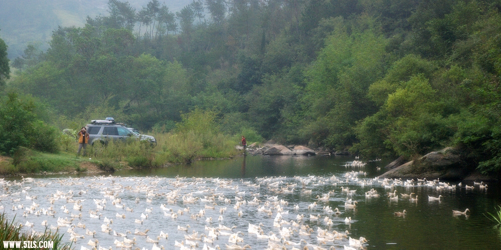 DSC_0360.jpg