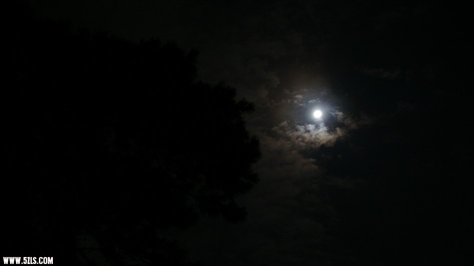 DSC07656.JPG
