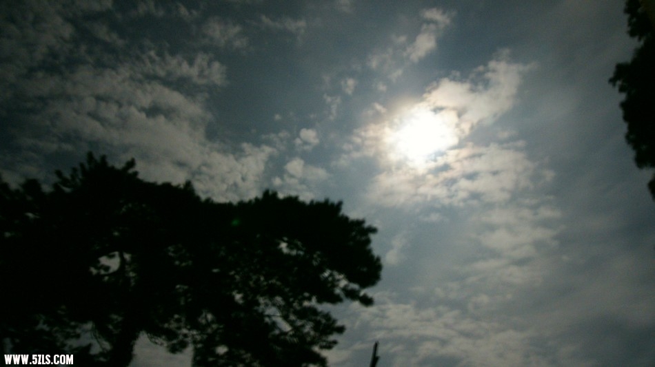 DSC07650.JPG