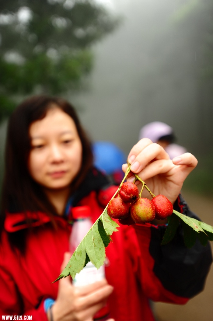 20110910-115806.jpg