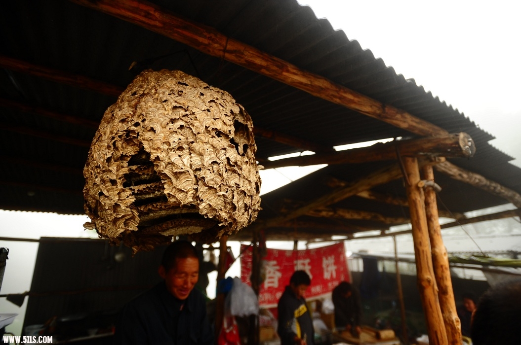 20110910-142958.jpg