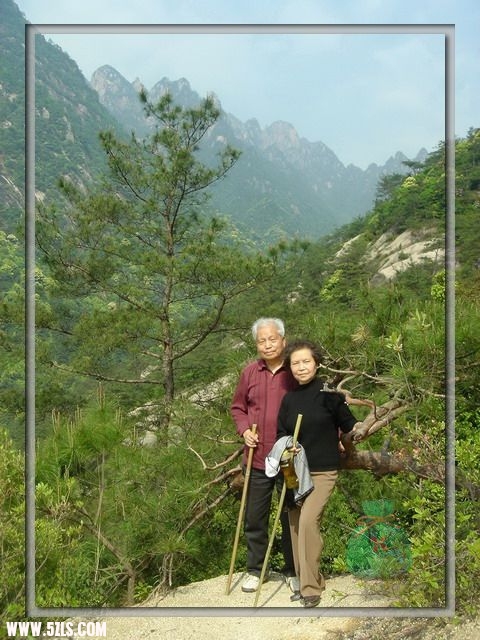 身边是如意松，远处是黄山的骆驼峰