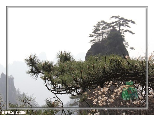 不到黄山，枉来安徽啊