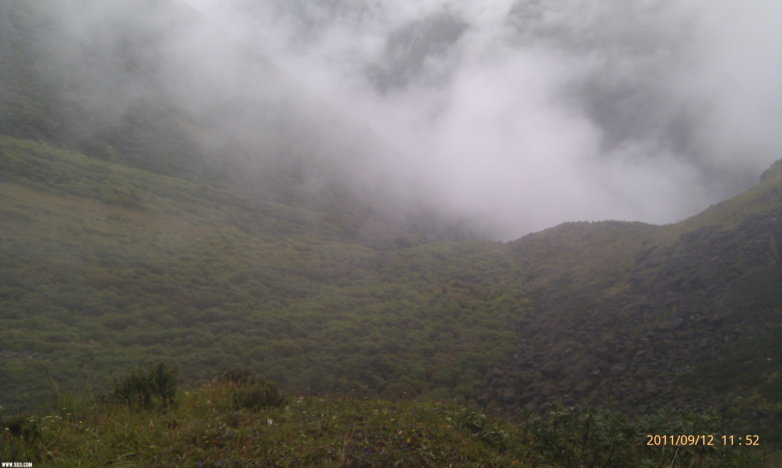 IMAG0164.jpg