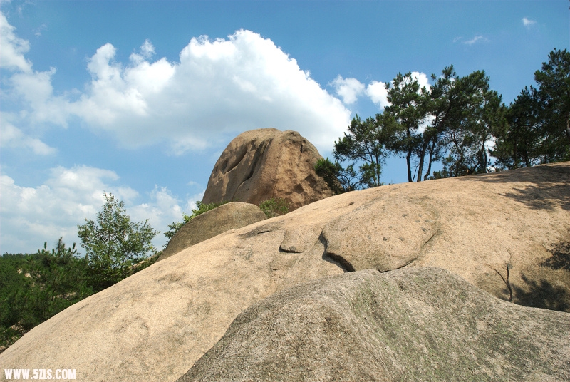 DSC_0139.jpg