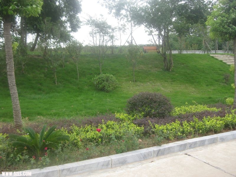 20110918 052.jpg