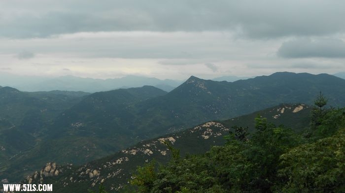 DSCN0784.jpg