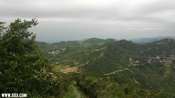 DSCN0781.jpg