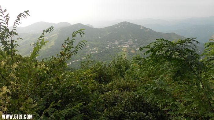 DSCN0770.jpg