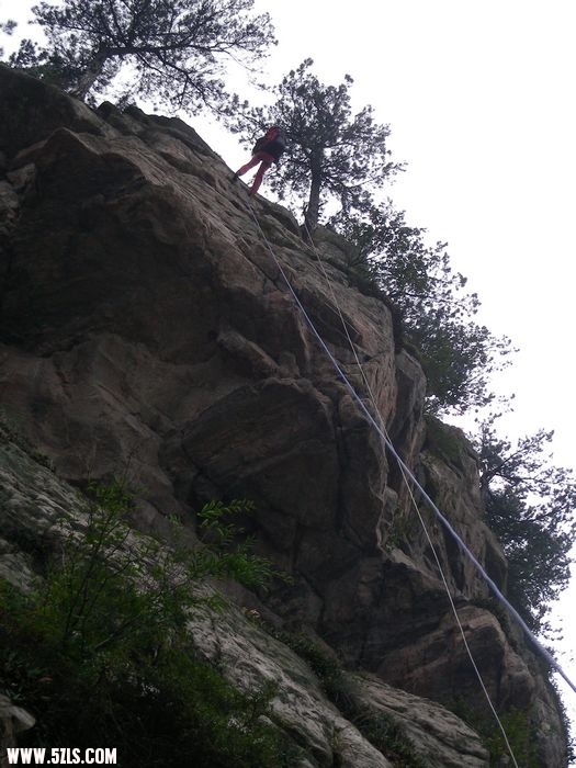 DSCN5254.jpg